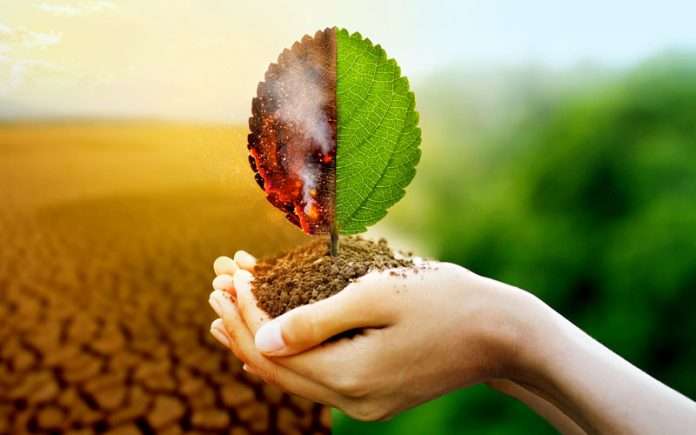 impacto-ambiental