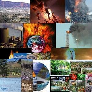 Cristal Móvil y su compromiso con el Medio Ambiente